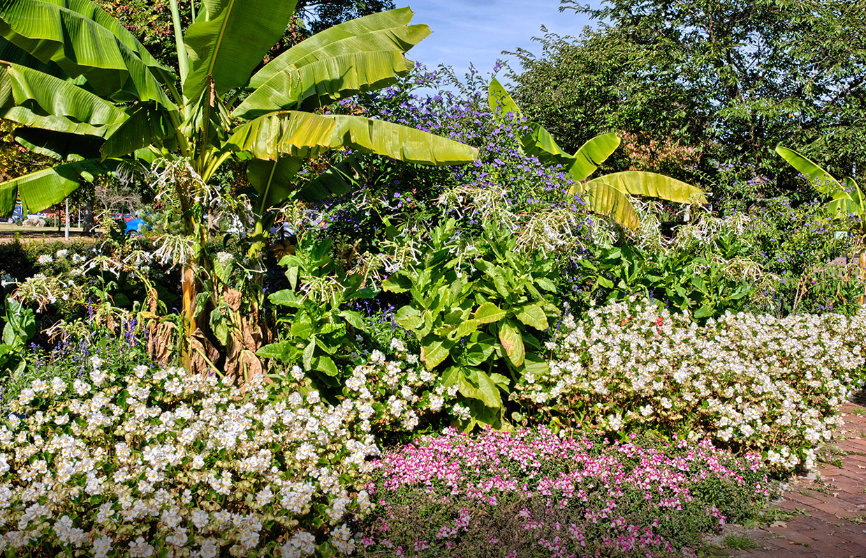 Kurpark Bad Bellingen