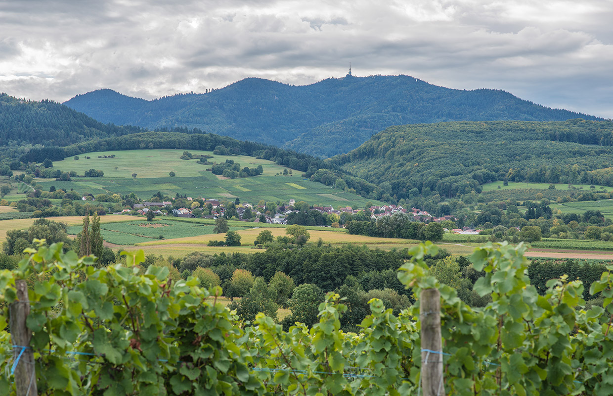 Schwarzwald & Markgräflerland