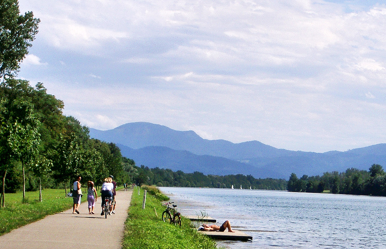 Radfahren und Spazieren entlang des Rheins
